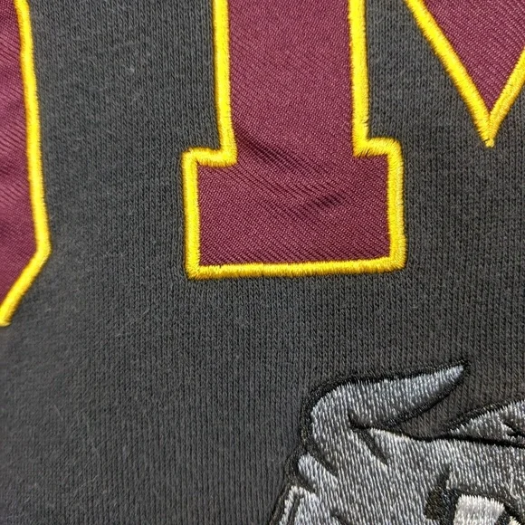 Vintage University of Minnesota Hoodie - Picture 4 of 6